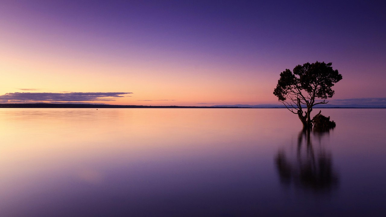 From Dusk to Dawn: A Personal Reflection on Finding Balance in the Extremes