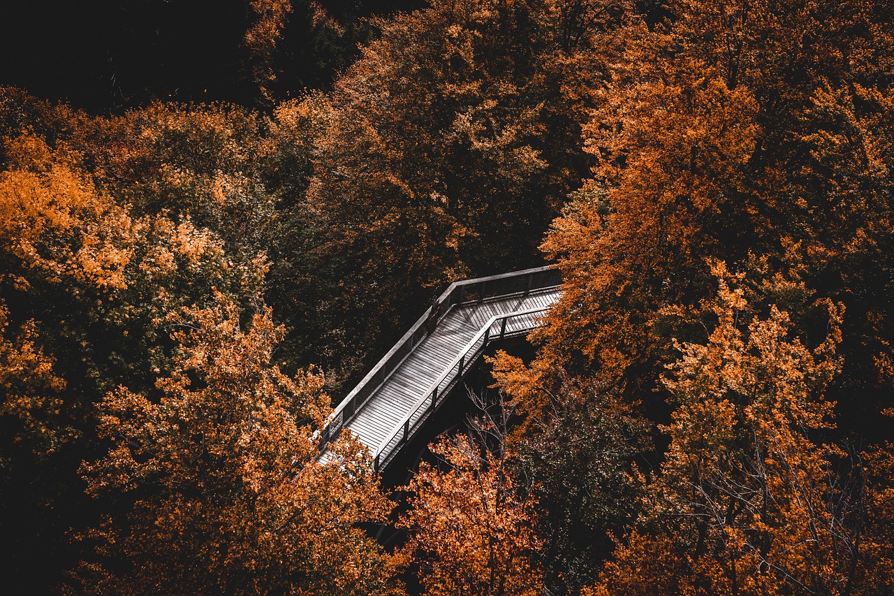 The In-Between: Navigating Life's Transitional Moments with Grace